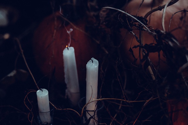 Three white candles in the middle of dried vines.