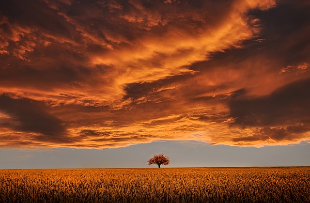 Sunset cloud over a calm field.