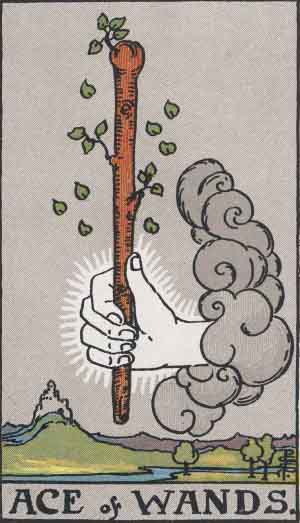 The Ace of Wands card from the Rider-Waite deck.