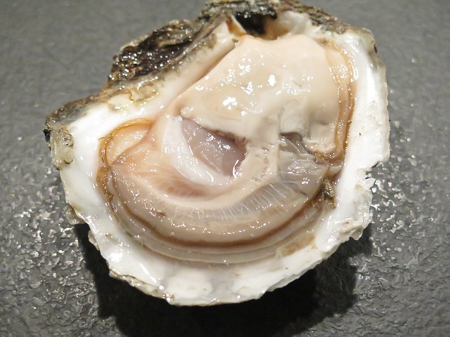An oyster.