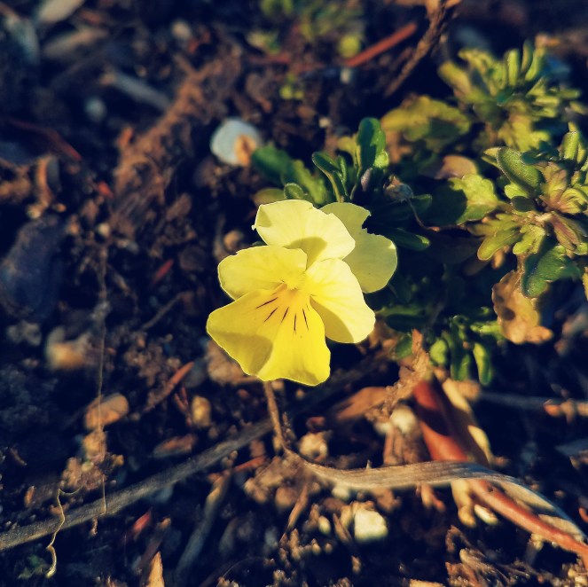 Processed with VSCO with  preset