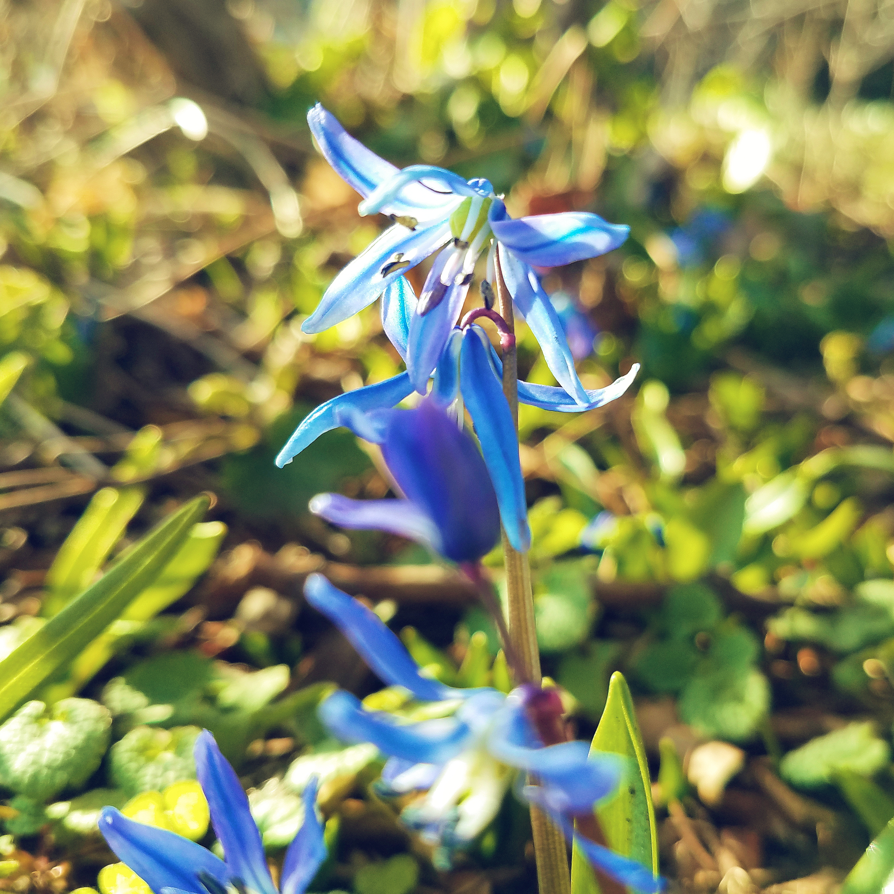 Processed with VSCO with  preset