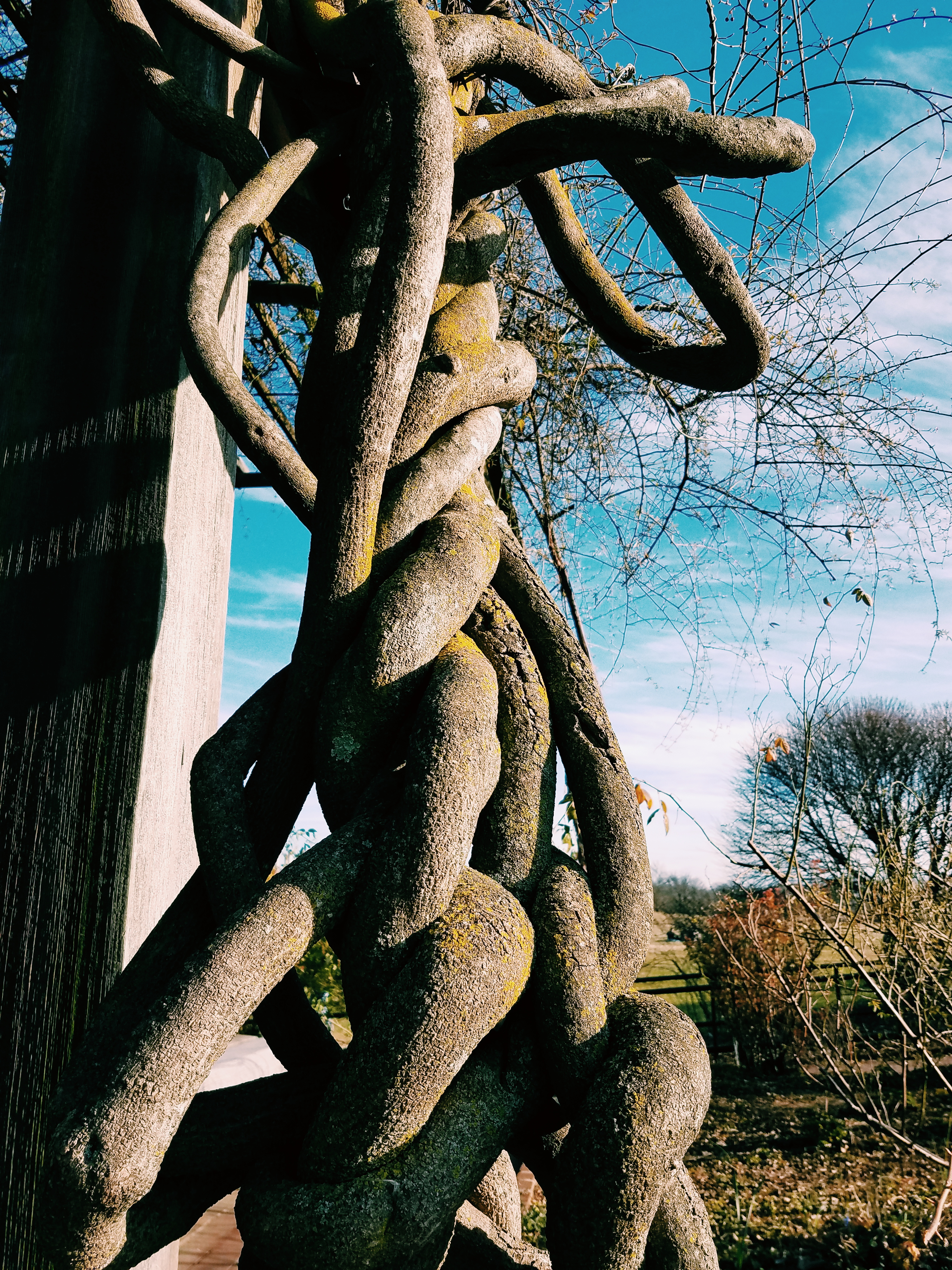 Processed with VSCO with c1 preset