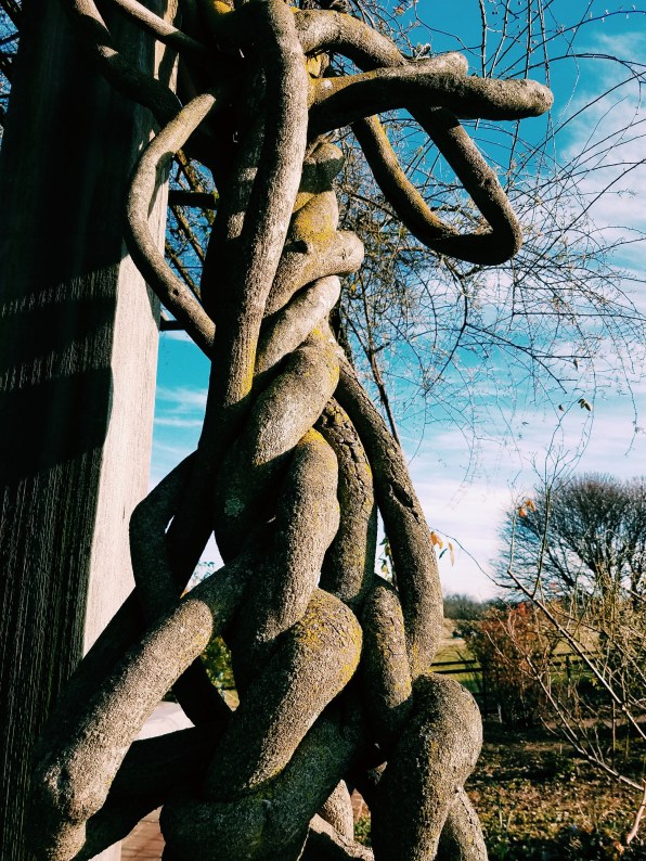 Processed with VSCO with c1 preset