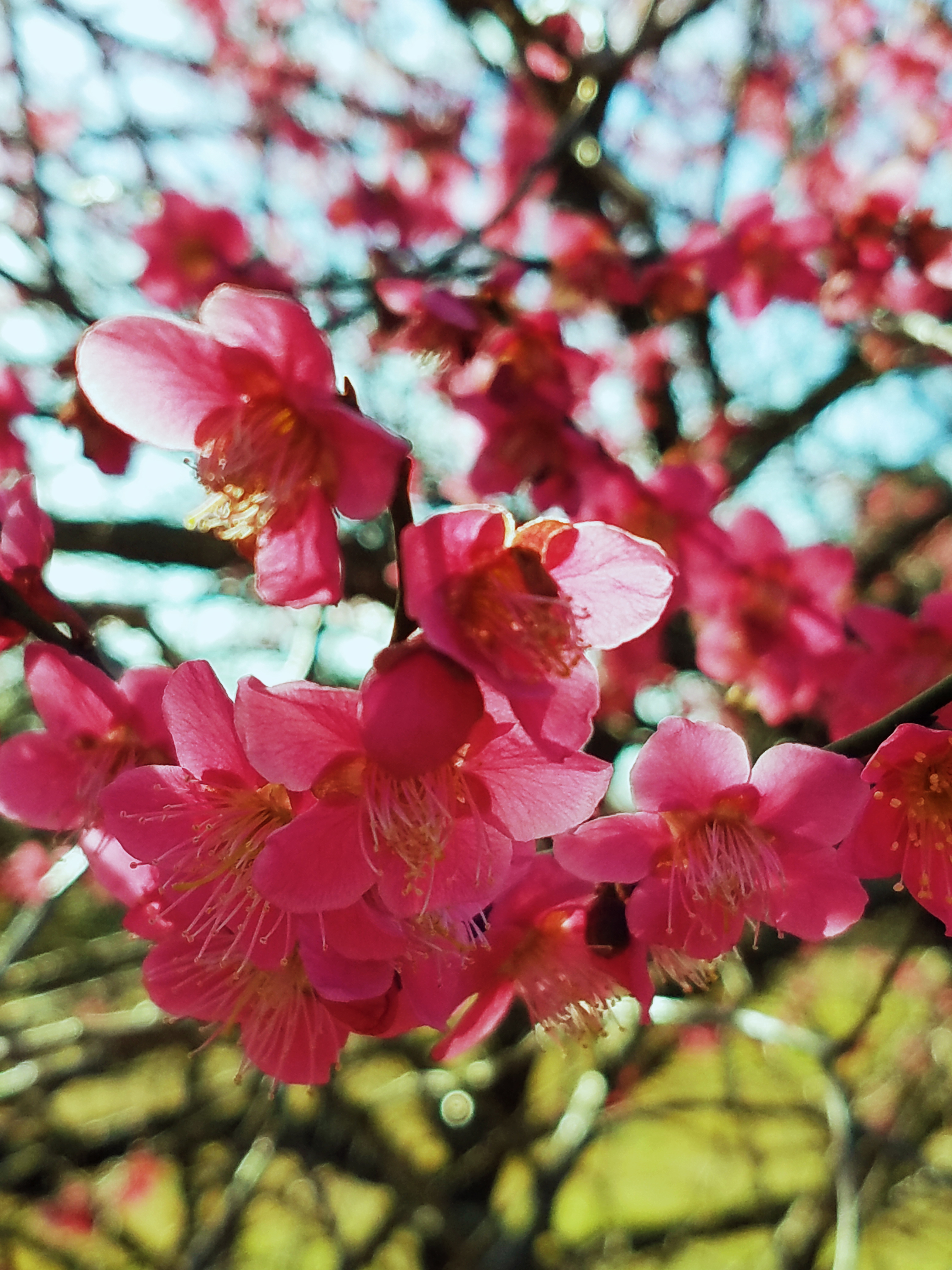 Processed with VSCO with  preset