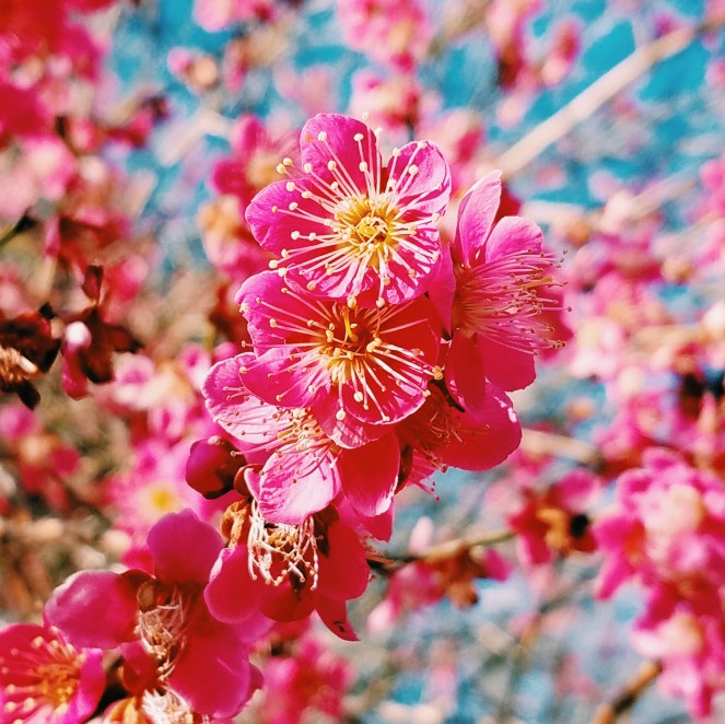 Processed with VSCO with c1 preset