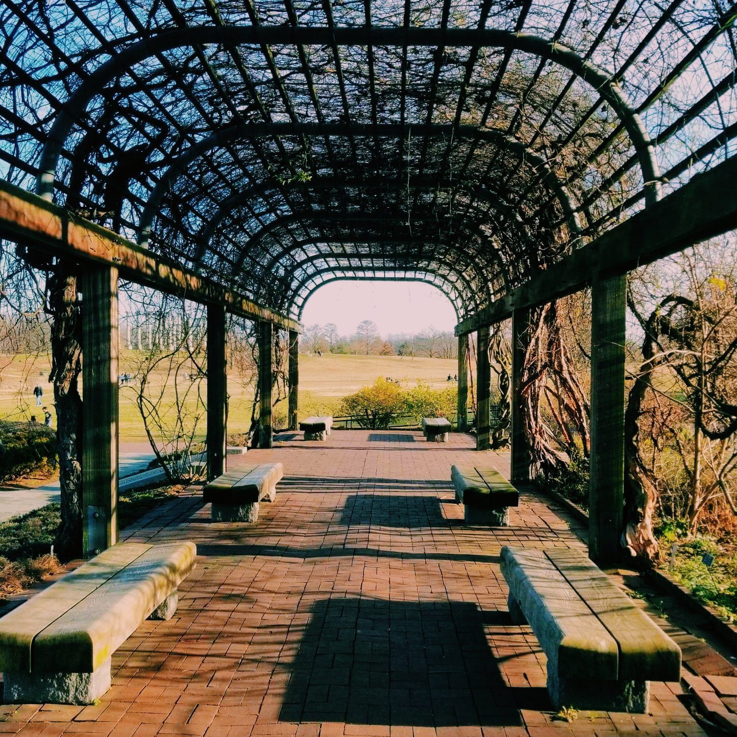 Processed with VSCO with c1 preset