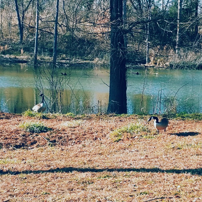 Processed with VSCO with c1 preset