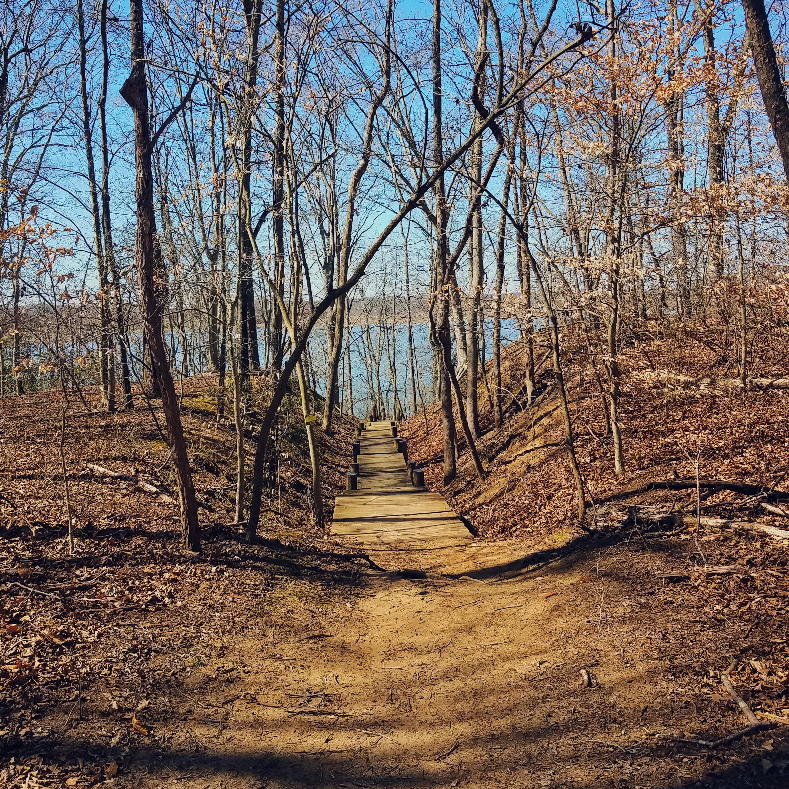 89519409_615132846008818_5669195829575942144_n (1)