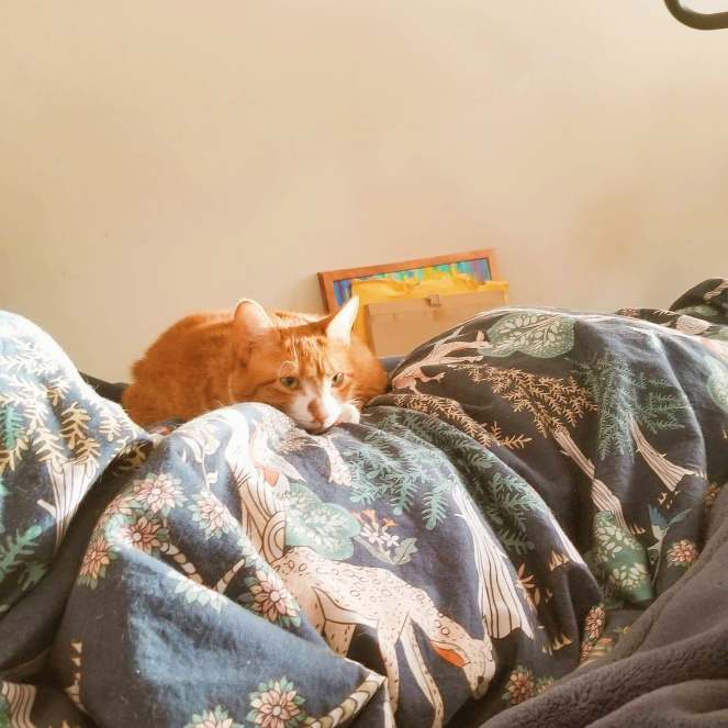 93477739_248600606293933_7179700638912086016_n