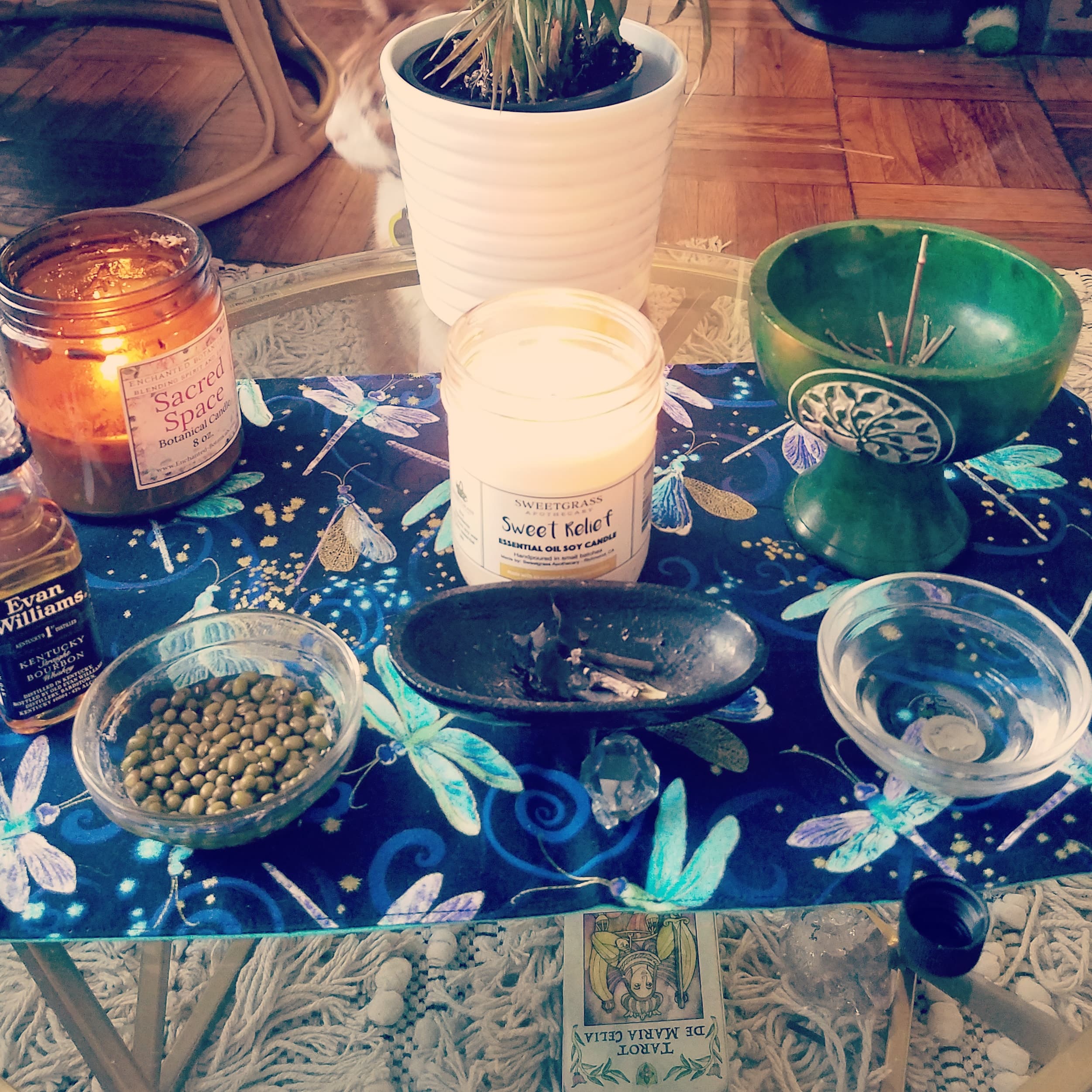 96275674_2570274569958403_4519495911218348032_n (1)