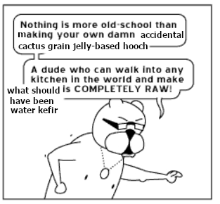 A cat in sunglasses emphatically says, "Nothing is more old-school than making your own damn accidental cactus grain jelly-based hooch. A dude who can walk into any kitchen in the world and make what should have been water kefir is COMPLETELY RAW!"