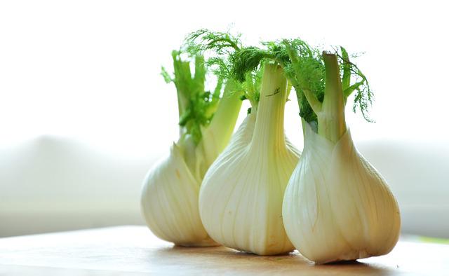 A trio of fennel bulbs.