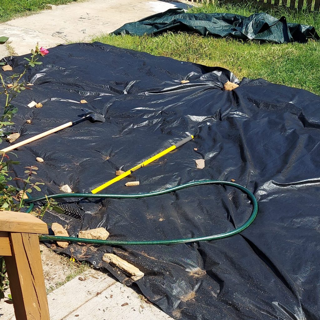 A large black tarp, held down with rocks and a metal rake, covers a rectangular patch of grass.
