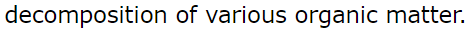decomposition of various organic matter.