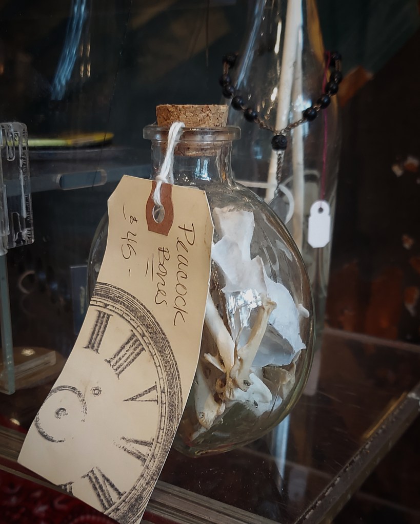 A corked glass bottle full of bones. A tag tied to the neck says, "Peacock Bones $45."