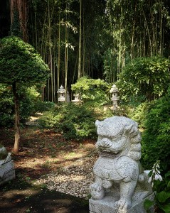 A bamboo forest with a pair of Imperial lion statues in front. 