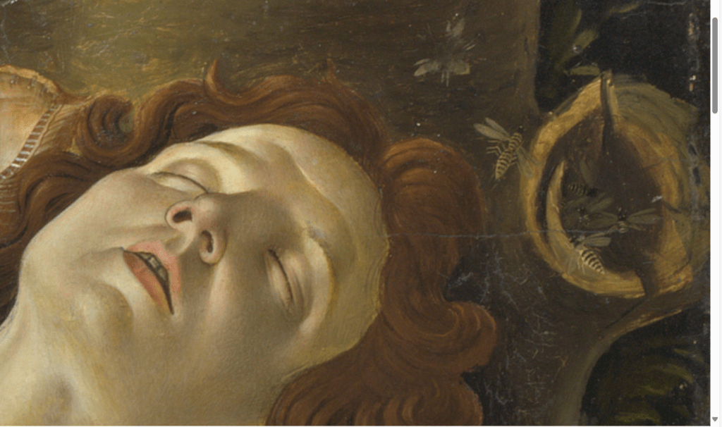 Detail from Botticelli's Venus and Mars, showing Mars' face and an adjacent wasp nest.