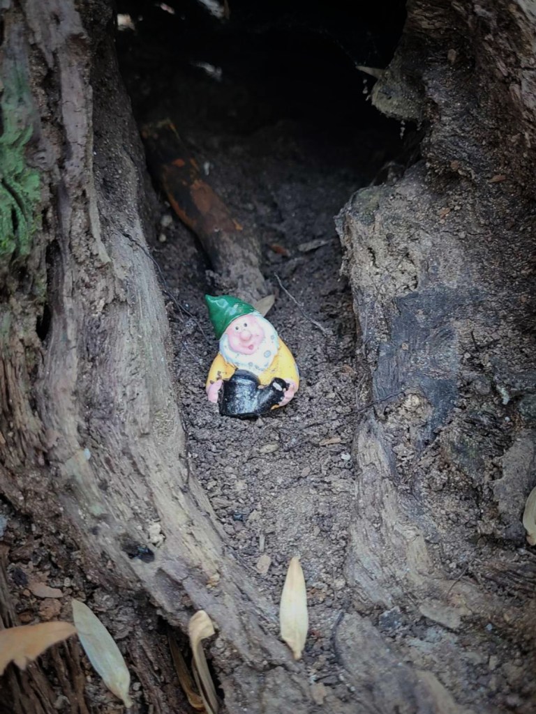A toy gnome with a yellow shirt, green cap, and black watering can, sitting in a hole in the base of a tree stump.