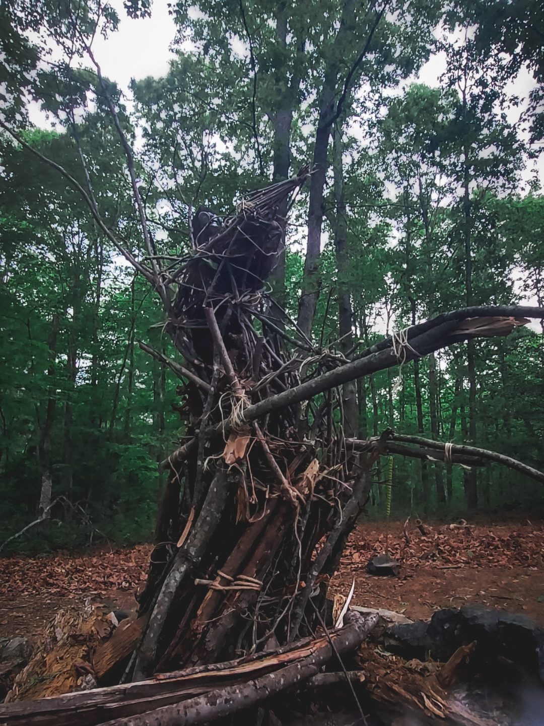A tall stag made of woven deadfall. It appears to be springing forth from the ground. 